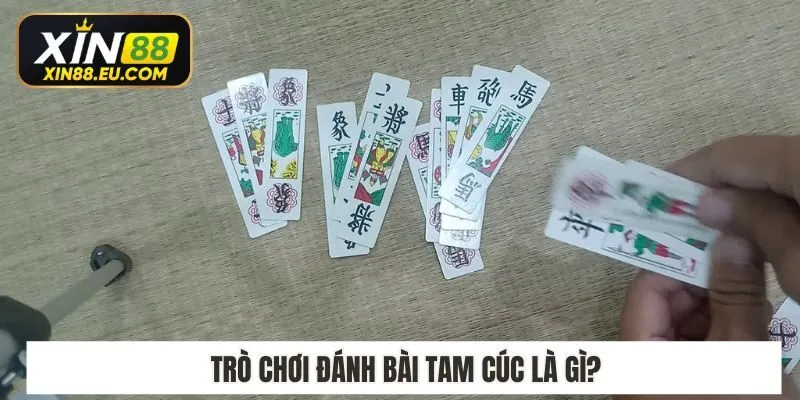 Trò chơi đánh bài tam cúc là gì?