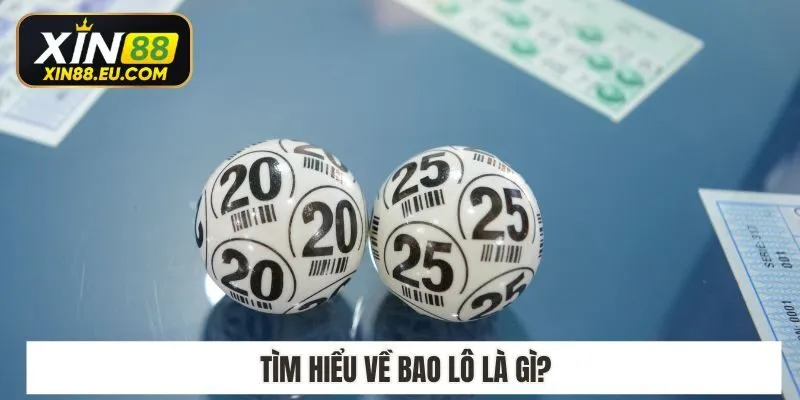Tìm hiểu về bao lô là gì?