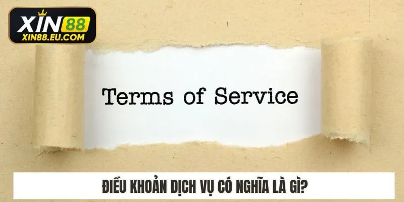 Điều khoản dịch vụ có nghĩa là gì?
