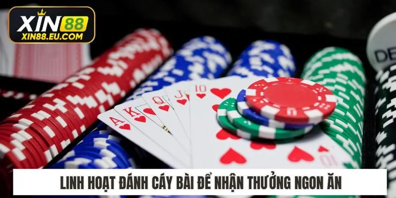 Linh hoạt đánh cáy bài để nhận thưởng ngon ăn