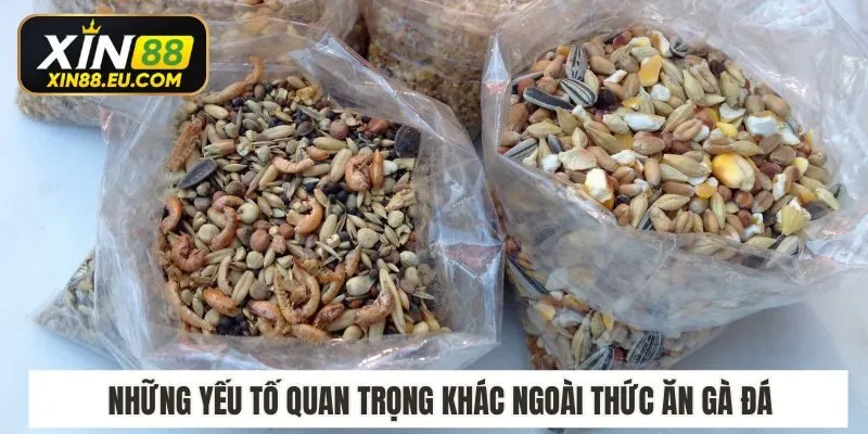 Những yếu tố quan trọng khác ngoài thức ăn gà đá​