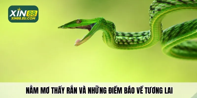 Nằm mơ thấy rắn xanh đánh con gì và những điềm báo về tương lai