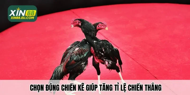 Chọn đúng chiến kê giúp tăng tỉ lệ chiến thắng trong các trận đấu