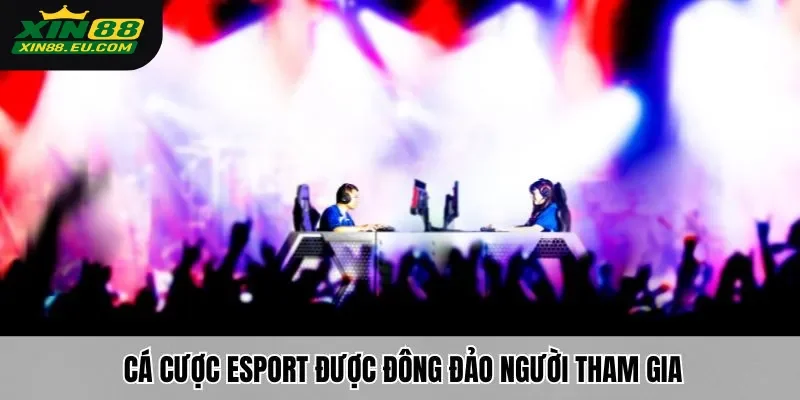 Cá cược Esport được đông đảo người tham gia