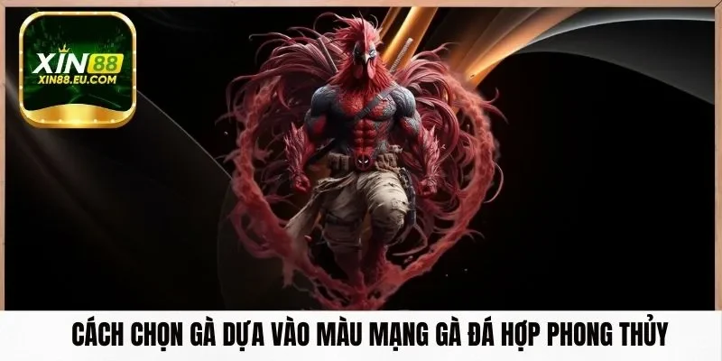 Cách chọn gà dựa vào màu mạng gà đá hợp phong thủy